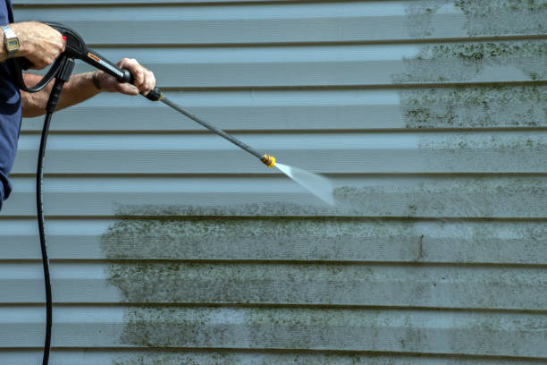 Best Roof Washing  in Barboursville, WV